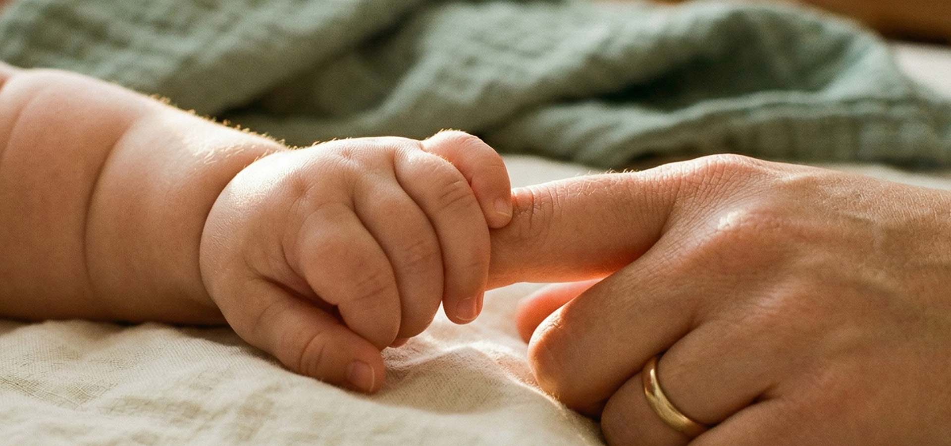 Baby's hand gently holding a teddy bear